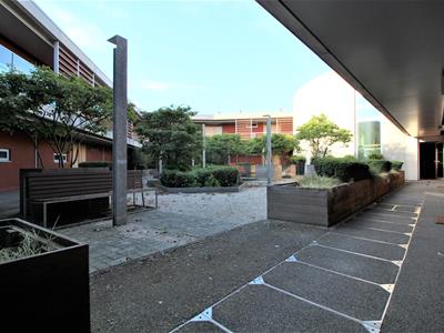 Picture 14